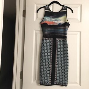 Clover Canyon dress